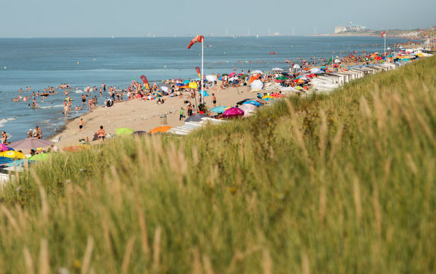 New Village Park - Photo 3