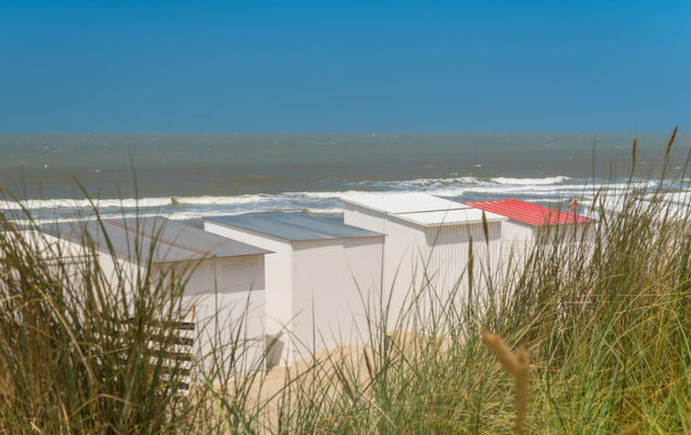 New Village Park - Photo 6