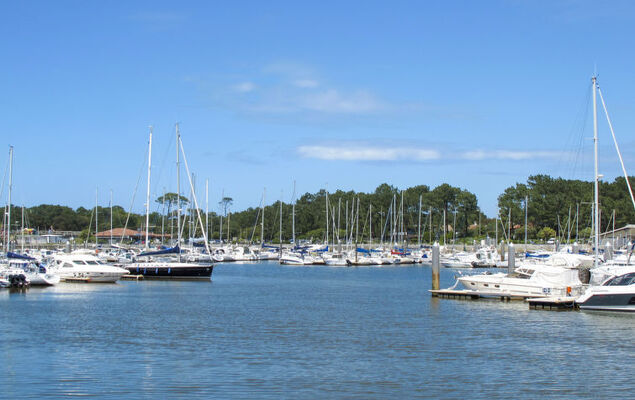 Pyrénées - Photo 21