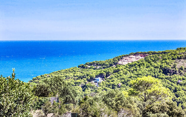 Jandalo Berria - Photo 42