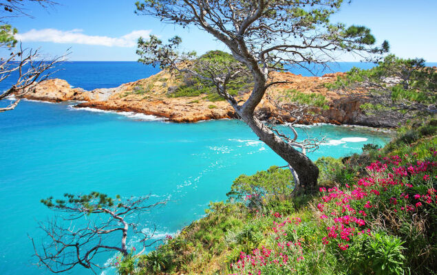 Jandalo Berria - Photo 44