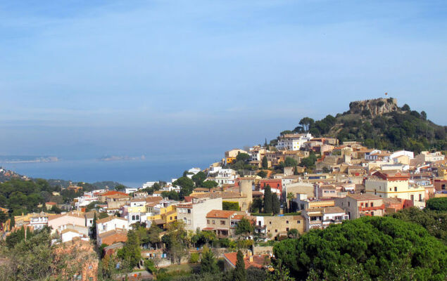 Jandalo Berria - Photo 51