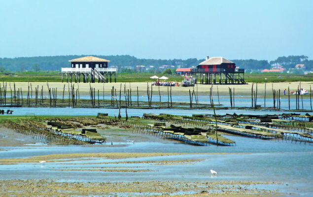 Feodorowka - Photo 21