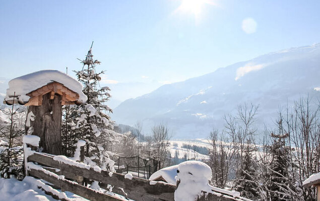 Ferienhof Sonnseitn - Photo 42