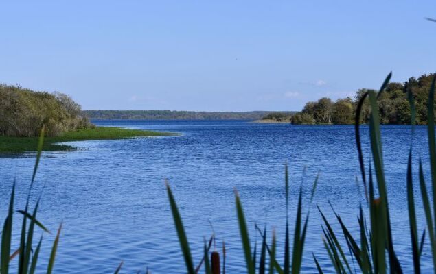 Domaine de Peyroutic - Photo 38