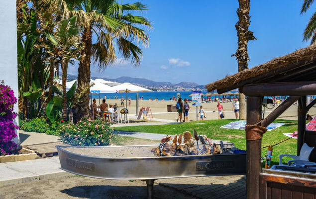 Malaga Pacifico - Photo 26