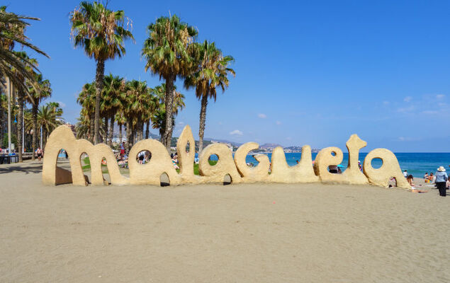 Malaga Pacifico - Photo 28