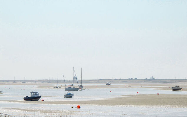 Les Coquelicots - Photo 18