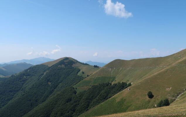 La Casa di Carlo - Photo 29